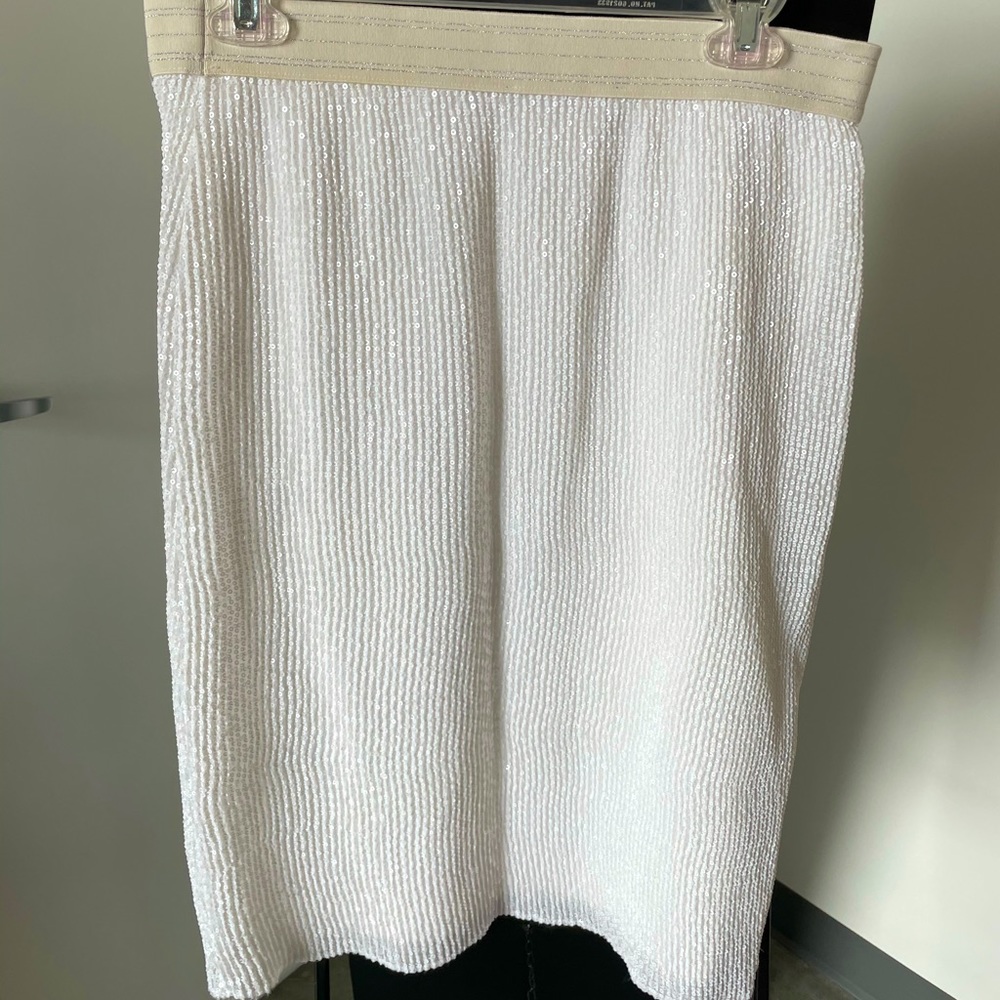 Sequin Skirt
